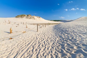 Moving dunes park near Baltic Sea in Leba, Poland